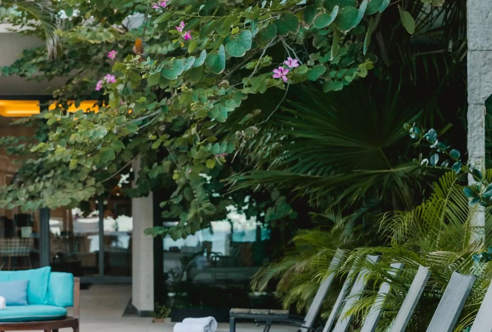 Hotel Hyatt Centric Playa Del Carmen - Downtown House & Beach House (Adults Only)